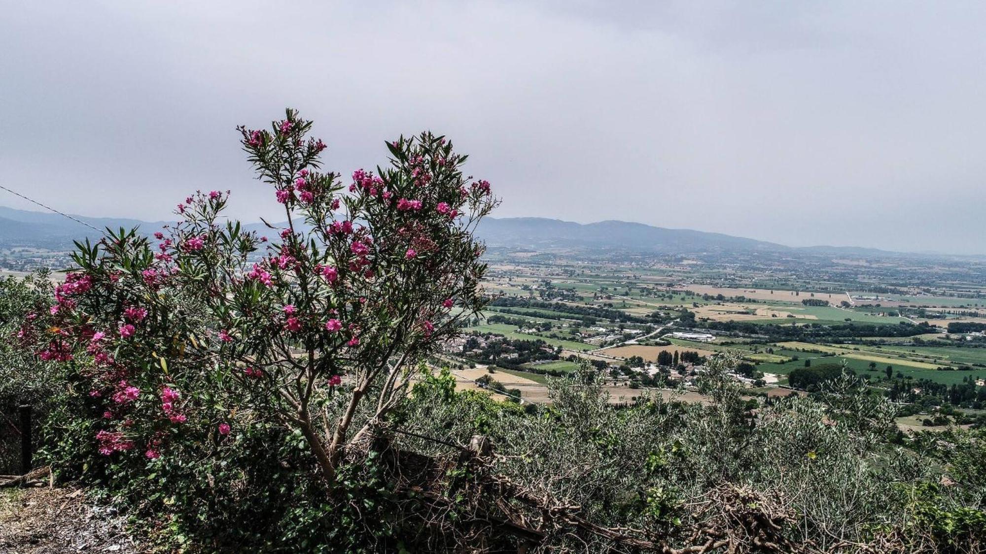 Villa rurale nei pressi Castello Campello sul Clitunno Esterno foto