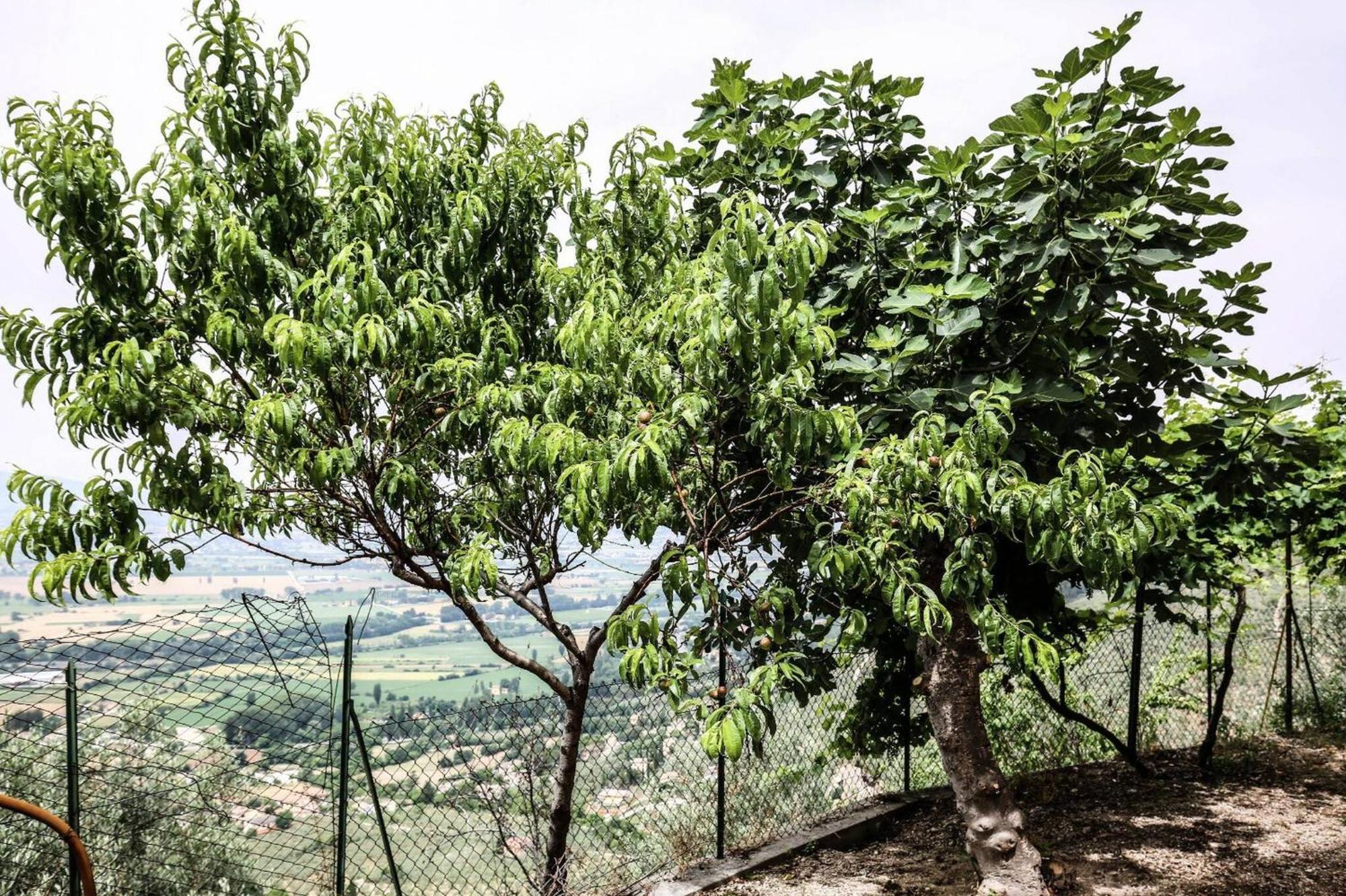 Villa rurale nei pressi Castello Campello sul Clitunno Esterno foto