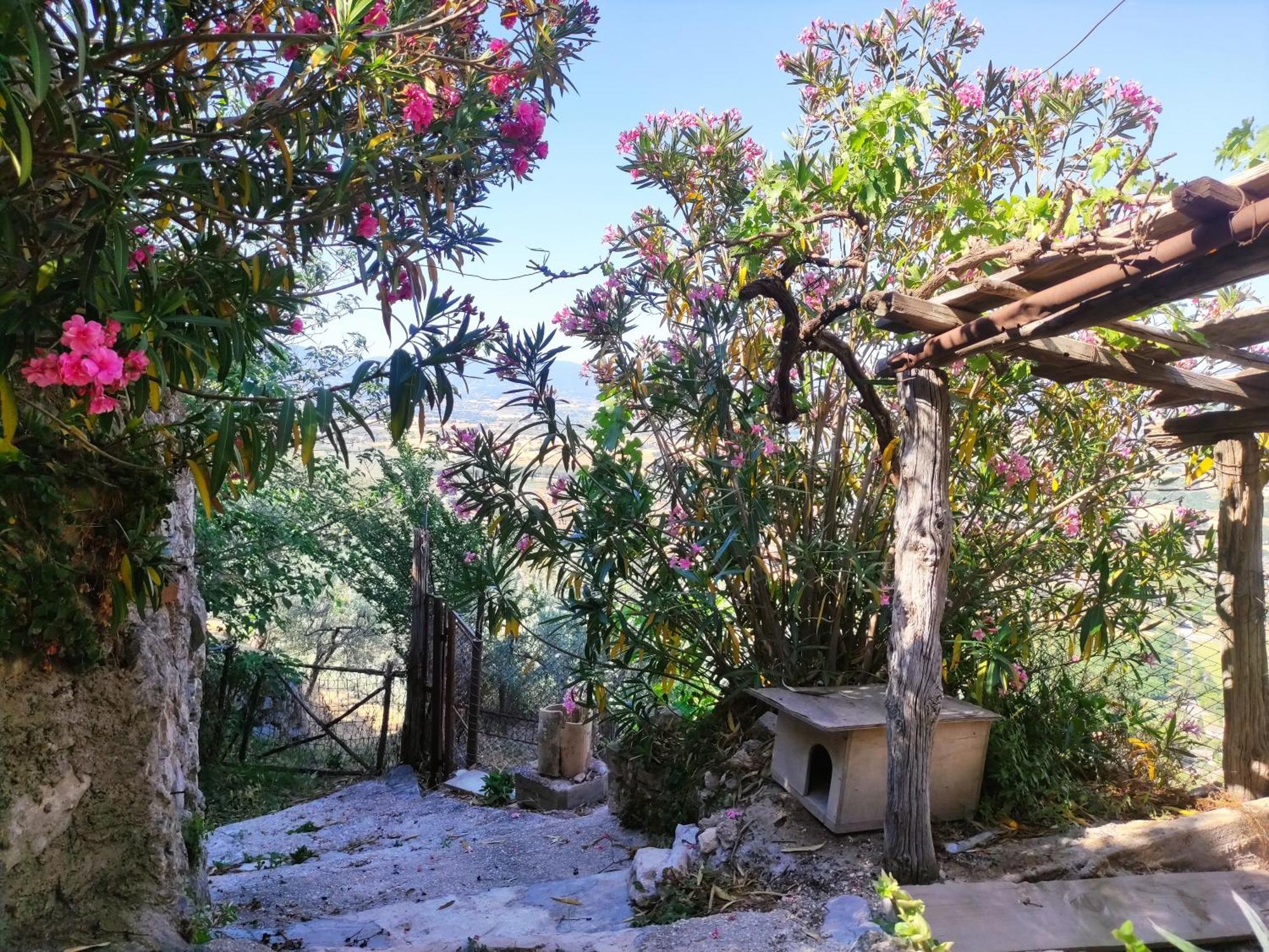 Villa rurale nei pressi Castello Campello sul Clitunno Esterno foto